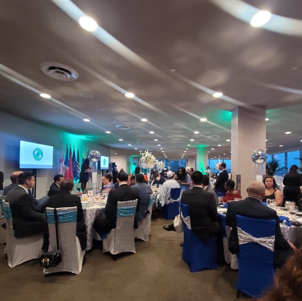 Humanitarian Platinum Leadership Awards - Image 1